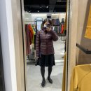 힛트랜드 | 아크테릭스 패딩 [FW20] 세륨 SV &amp; 토륨 AR 여성 구매리뷰