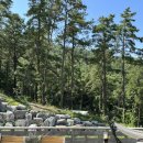 블랙트리하우스 이미지