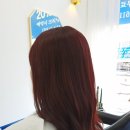 오늘머리헤어 네이버블로그