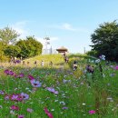 올림픽공원 이미지