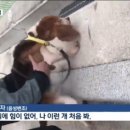 이병천농장 이미지