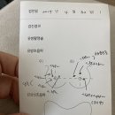 세종바른유외과의원 이미지