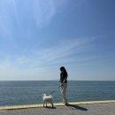 영흥면 공공도서관 | *2023년 6월 월간 일기(1편-스웨덴)*