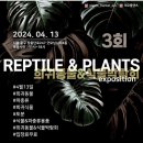 레오마켓 | 2023.04.13 레오플랜츠 동대문 마켓 후기