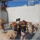 엄마 잘 다녀와 이미지