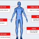 동탄중앙고등학교 이미지