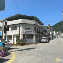 성모반점 이미지