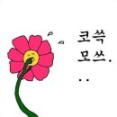 이프 데일리