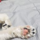 퇴계원로 46번길 이미지