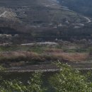 섬진강한의원 이미지