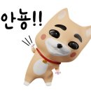 강진서스킨케어
