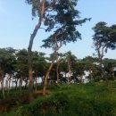 갈마농장 이미지