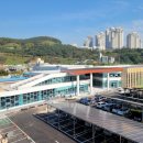 남구-2 이미지