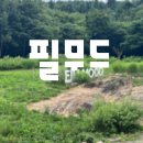 기산 | 기산저수지 대형카페 필무드 후기, 빵부터 바닐라라떼까지 만족했던 카페