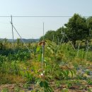 별샘농장 이미지