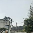 선우차유리 이미지