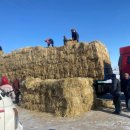 건초사료 이미지