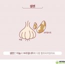헬씨아이