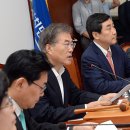 보고