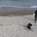 만경회타운 이미지