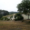 고로초 화수분교 이미지