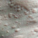 그린파크장 이미지