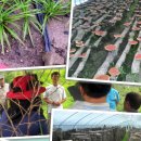 윤승호농장 이미지