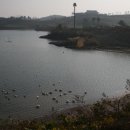 경호초등학교 | &lt;여수 여행&gt; 대경도 섬 둘러보기-2일차
