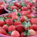 국립농산물품질관리원1층 이미지