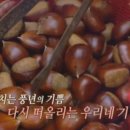 알밤이밥상 네이버블로그
