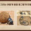 학진농장 네이버블로그
