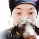 안녕토르