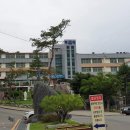 대구가톨릭대학교사범대학부속무학중학교 이미지