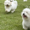 코튼빌리지 부산본점 이미지