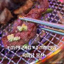 강남역 고기집 11번출구 갈비살 맛집 육미당 몽산