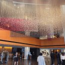 신라생선회 | 서울 3대 호텔뷔페 '서울신라호텔 더 파크뷰' 평일 런치 룸 이용후기 가격 주차