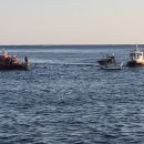 공현진항 이미지