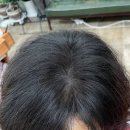 깐느헤어 이미지