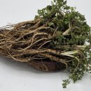 전호농장 이미지