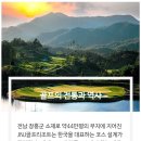 정남진여행사