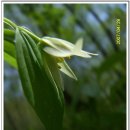 들꽃농장 이미지