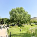 선재 업고 튀어 수원 촬영지 카페 몽테드 &amp; 수원 행리단길 방문 후기 🌿