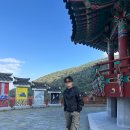 출렁다리마을 | 경남 산청 가볼만한곳 추천 ｜동의보감촌 &amp; 무릉교 출렁다리 후기