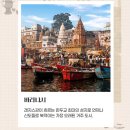 롯데비지니스 이미지