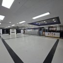 한국체대MTA태권도장 이미지