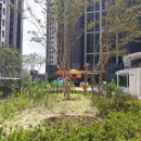 대구돌봄 사회적협동조합 이미지