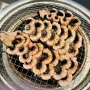 폭풍장어 - 12739 | 폭풍장어