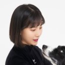 레코드독