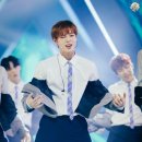 윙 - 목포시 동부로5번길 24 | 윙