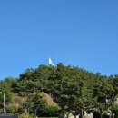 동해시-28 | 동해 아이랑 가볼만한곳 # 추암 촛대바위 + 출렁다리 방문 후기